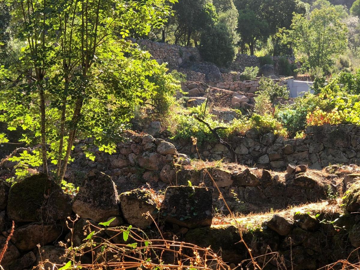 الشقق الفندقية Serriera في  L'Aiglon المظهر الخارجي الصورة